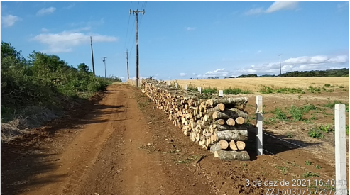 Programa de Controle de Supressão Vegetal
